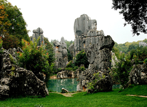 Stone Forest